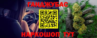 стафф Гудермес