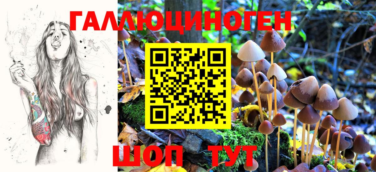 Галлюциногенные грибы MAGIC MUSHROOMS  Вход с VPN  Гагарин 