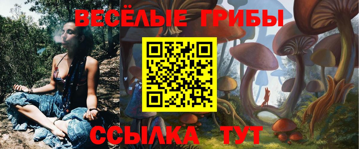 Галлюциногенные грибы мицелий Гагарин